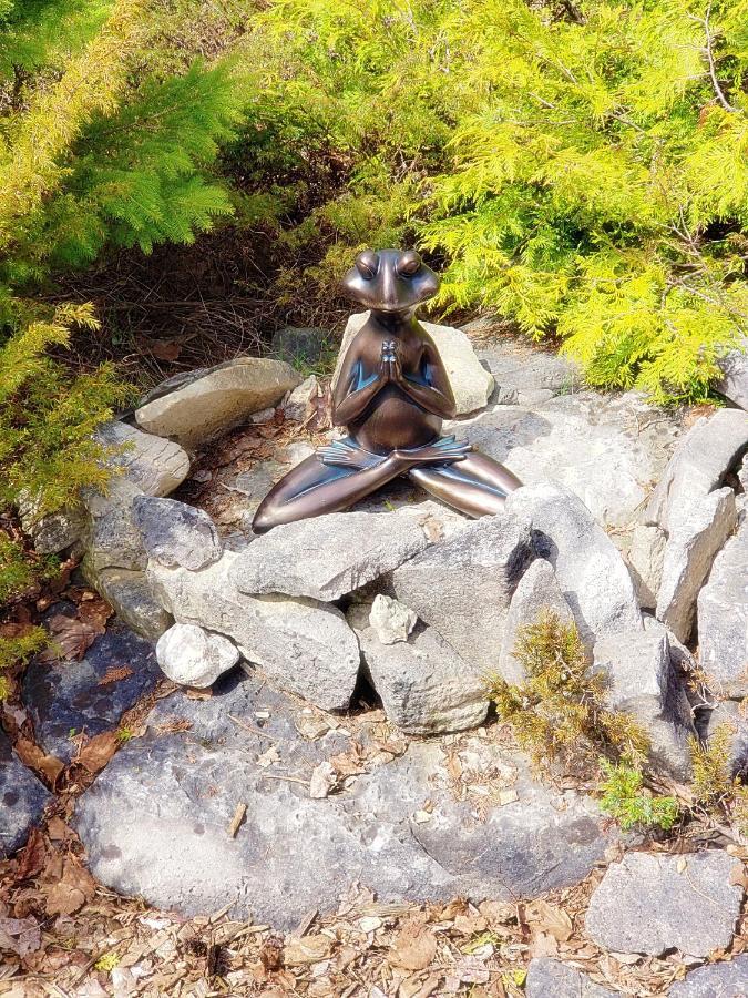 New Buddha Bing Unique Experience Cottage And Cabins Tobermory Zewnętrze zdjęcie